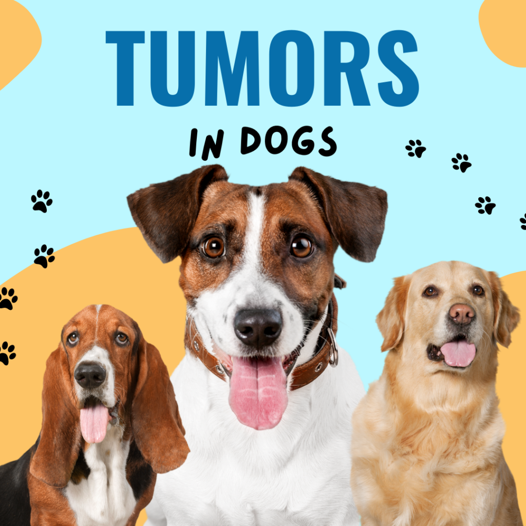 TUMORS IN DOGS