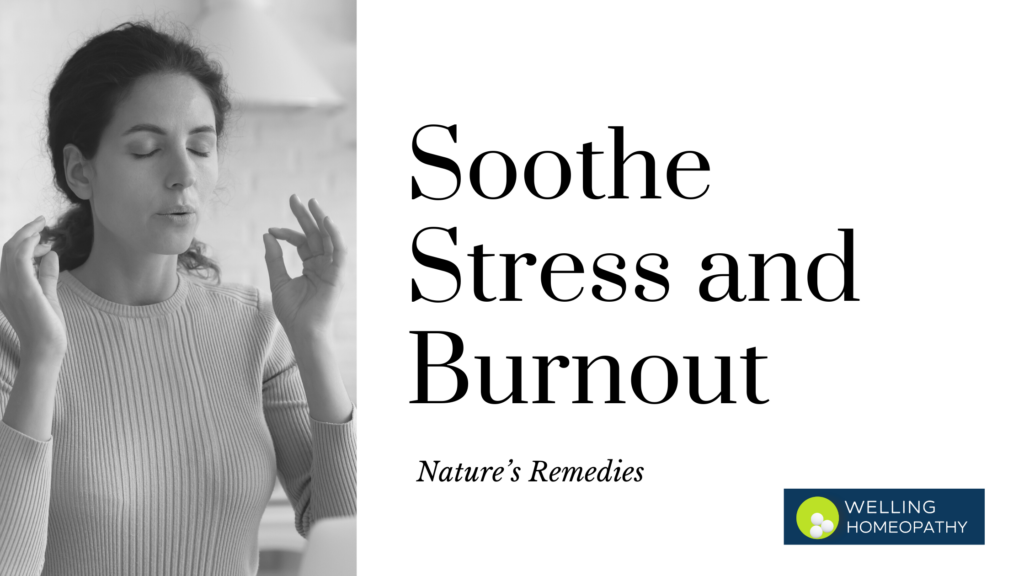Nature’s Remedies To Soothe Stress and Burnout
